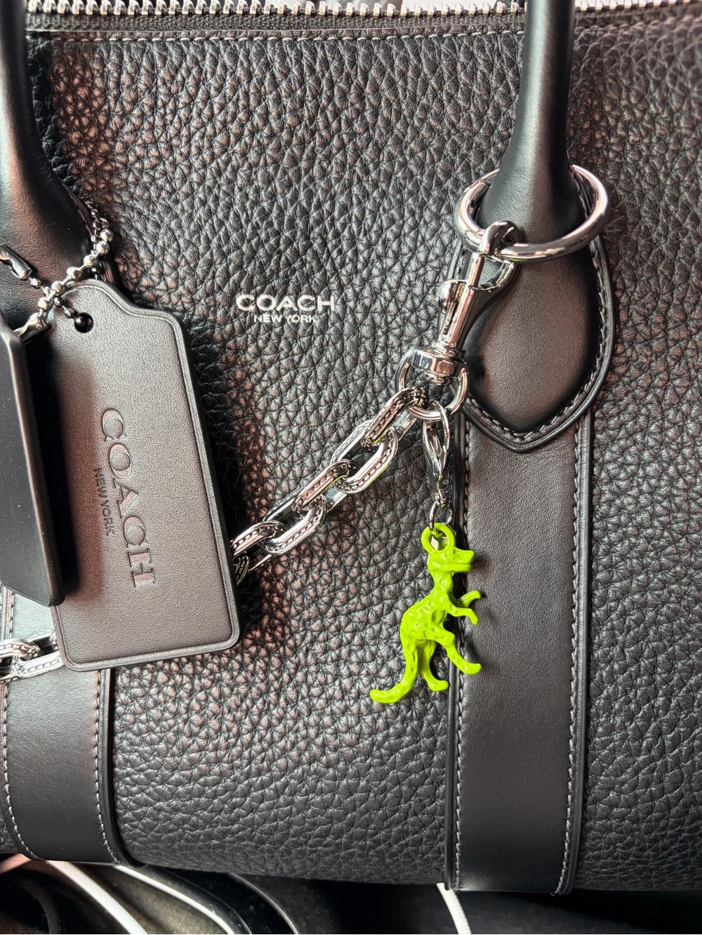 T Rex bag charm